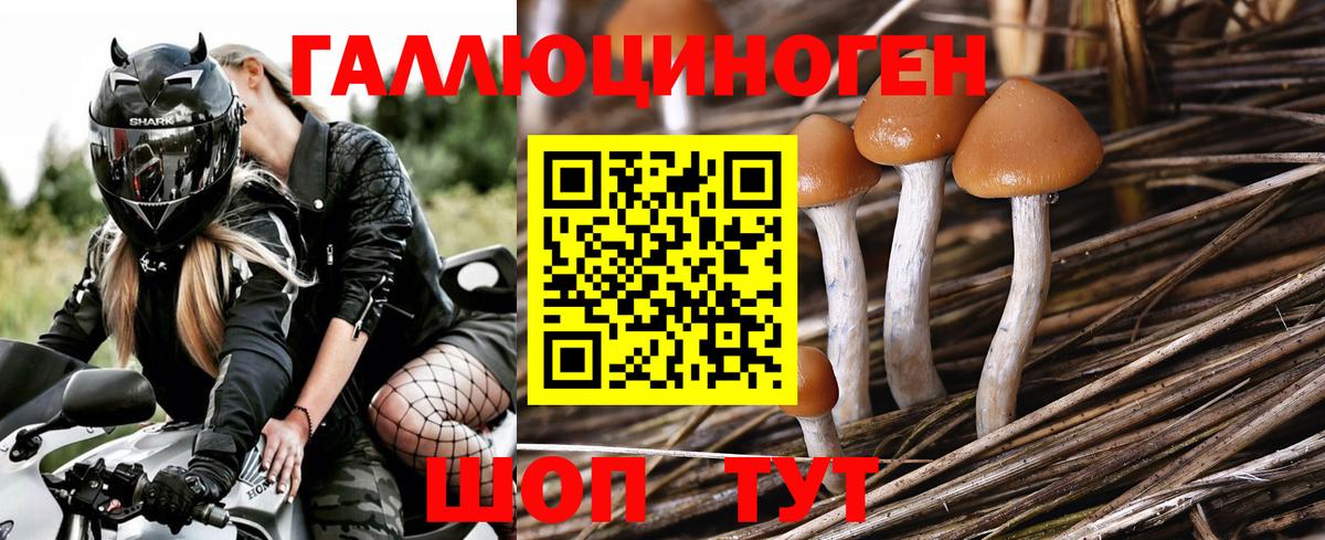 Псилоцибиновые грибы мухоморы  Вход с VPN  Москва 